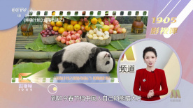 国产区网址