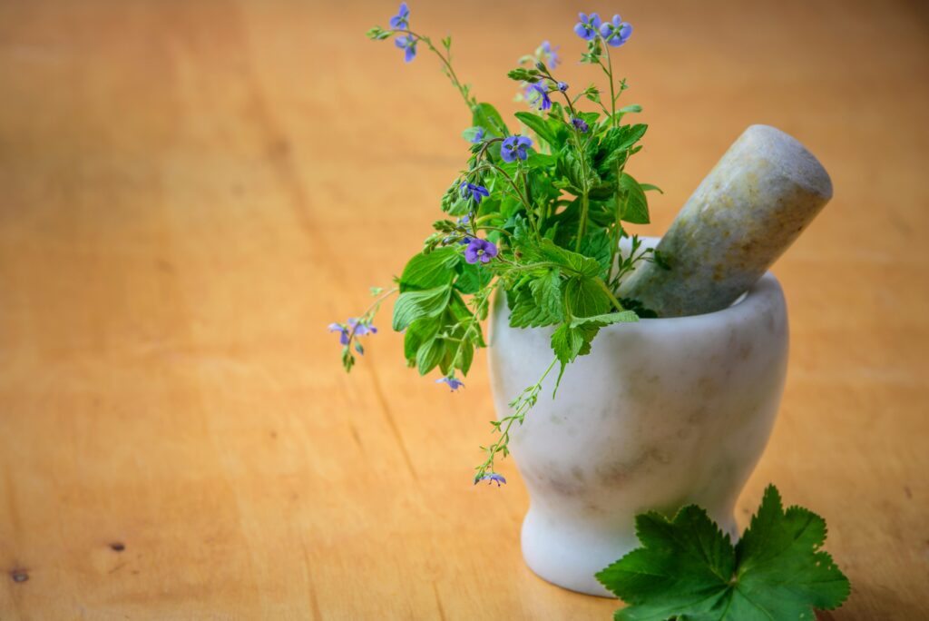 The Benefits and Uses of Summer Herbs