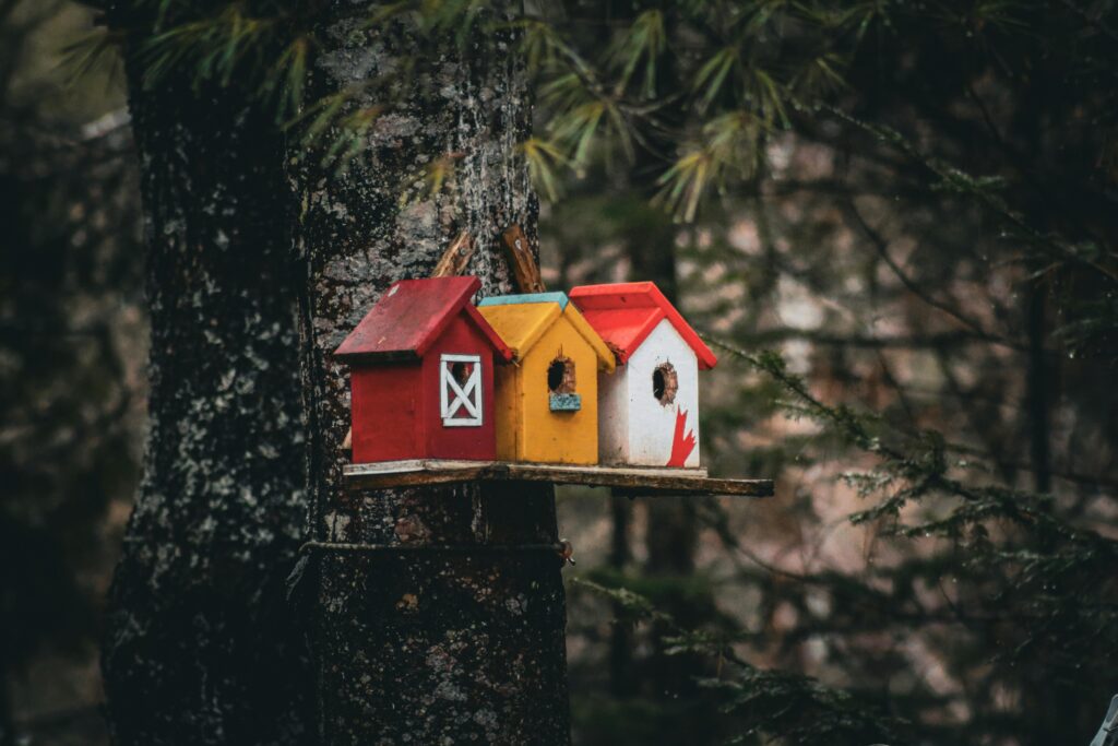 How-To Prevent and Manage Birds Nesting Under Your Roof